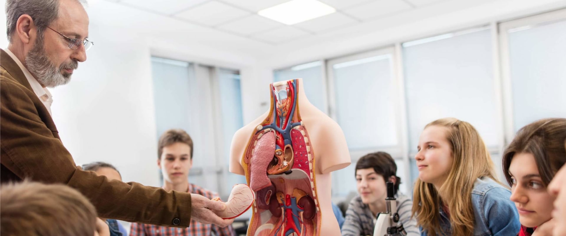 The Importance of Understanding Anatomy and Physiology in Science Tutoring