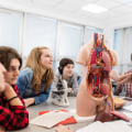 The Importance of Understanding Anatomy and Physiology in Science Tutoring