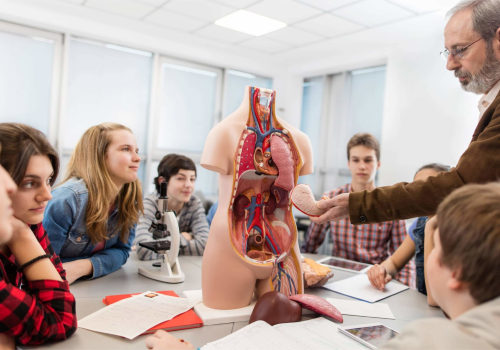 The Importance of Understanding Anatomy and Physiology in Science Tutoring
